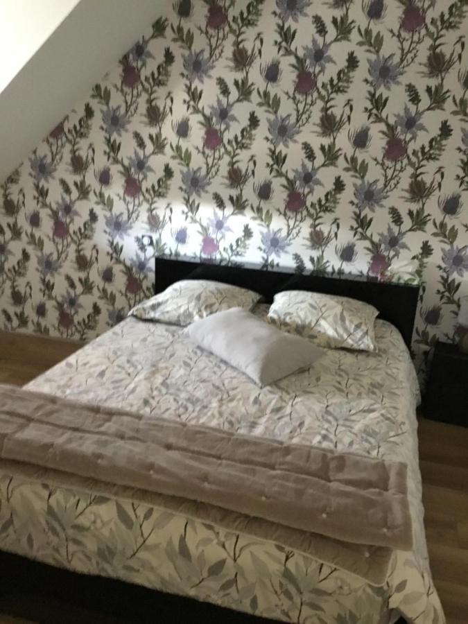 Apartamento La Malvrais Janzé Exterior foto